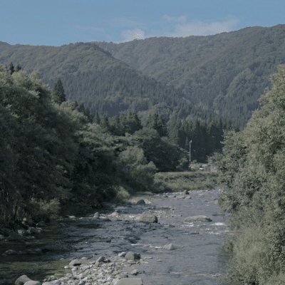 rice2environment19846